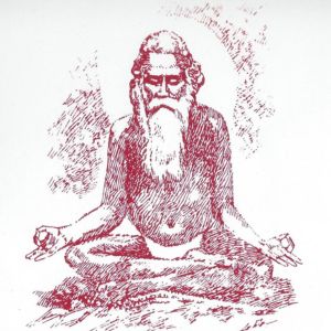 போலகம் அச்சுத தாசர்: பக்தியும் இசையும் கலந்த மேதை