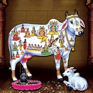 समृद्धि के लिए कामधेनु मंत्र