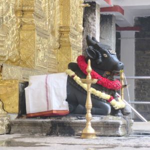 ಕಾಡು ಮಲ್ಲೇಶ್ವರ ದೇವಸ್ಥಾನ, ಬೆಂಗಳೂರು