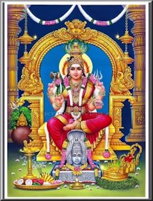 ദേവീഭാഗവത മഹിമയെപ്പറ്റി സുബ്രഹ്മണ്യസ്വാമി മറ്റൊരു കഥ പറയുന്നു