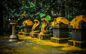 Nagas, The Serpents