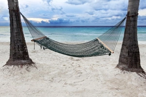Purva Phalguni Nakshatra symbol hammock