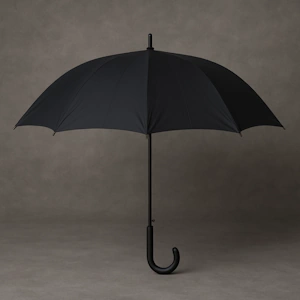 Jyeshta Nakshatra symbol umbrella