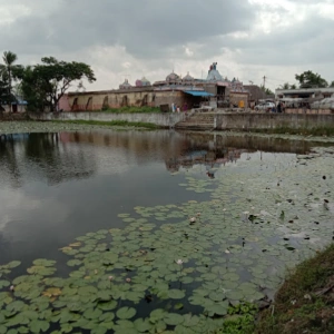 Pongu Sani Temple, Thirukollikadu