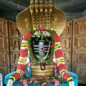 Sri Rudram Ghana Parayanam