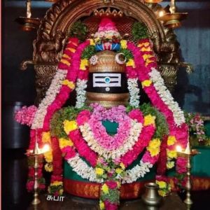 பொன்னார் மேனியனே