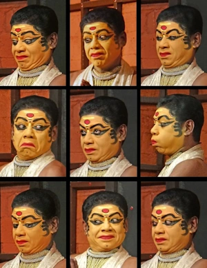 Bhavas and Rasas in Indian Aesthetics