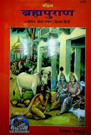 brahma puran hindi pdf cover page