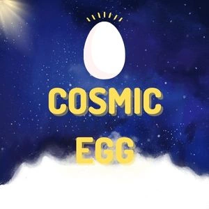 What Is Cosmic Egg?