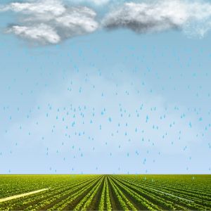 Mantra For Timely Rains And Fertile Land