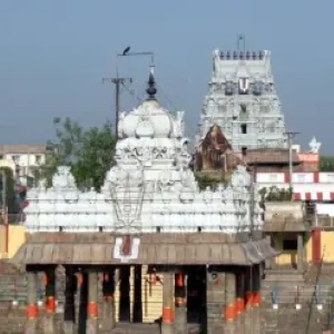 Explore the Timeless Greatness of Parthasarathy Temple, Triplicane